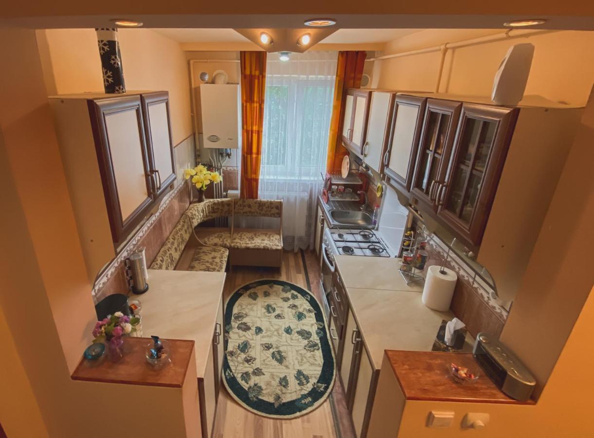Apartament Cristian Geoagiu Băi Εξωτερικό φωτογραφία