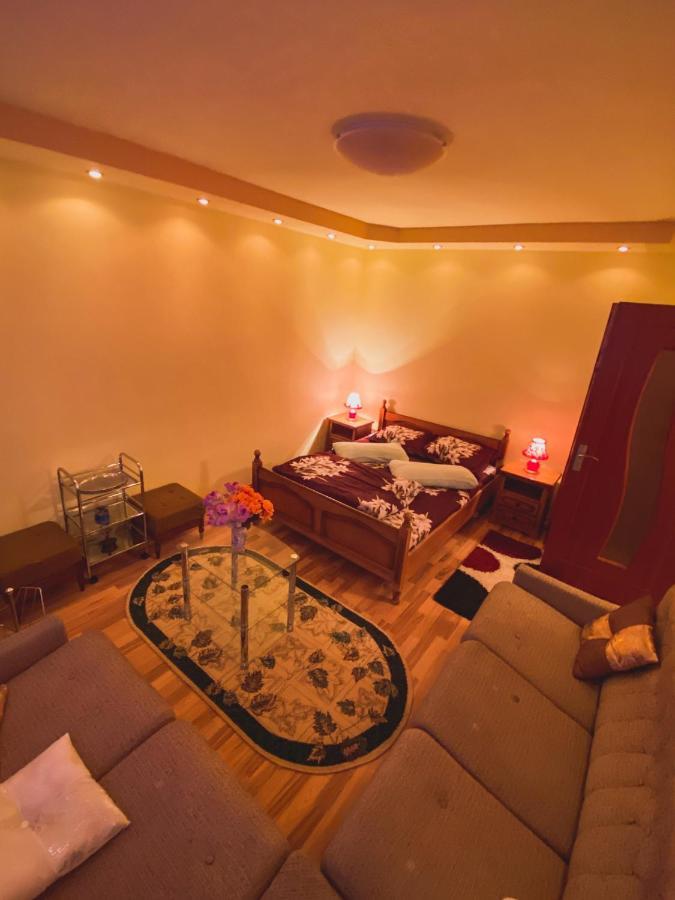 Apartament Cristian Geoagiu Băi Εξωτερικό φωτογραφία