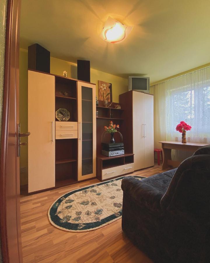 Apartament Cristian Geoagiu Băi Εξωτερικό φωτογραφία