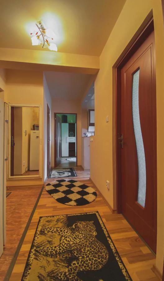Apartament Cristian Geoagiu Băi Εξωτερικό φωτογραφία